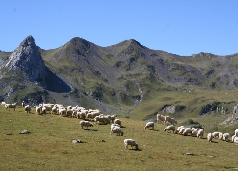 Cirque d’Anéou