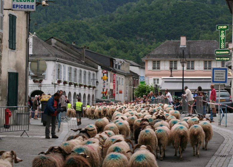 Visite audio guidée : pastoralisme en vallée d’Ossau