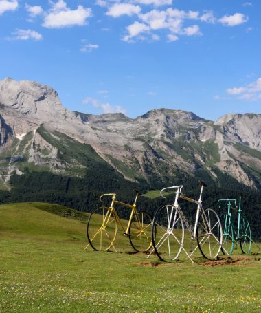 Programme hebdomadaire des animations