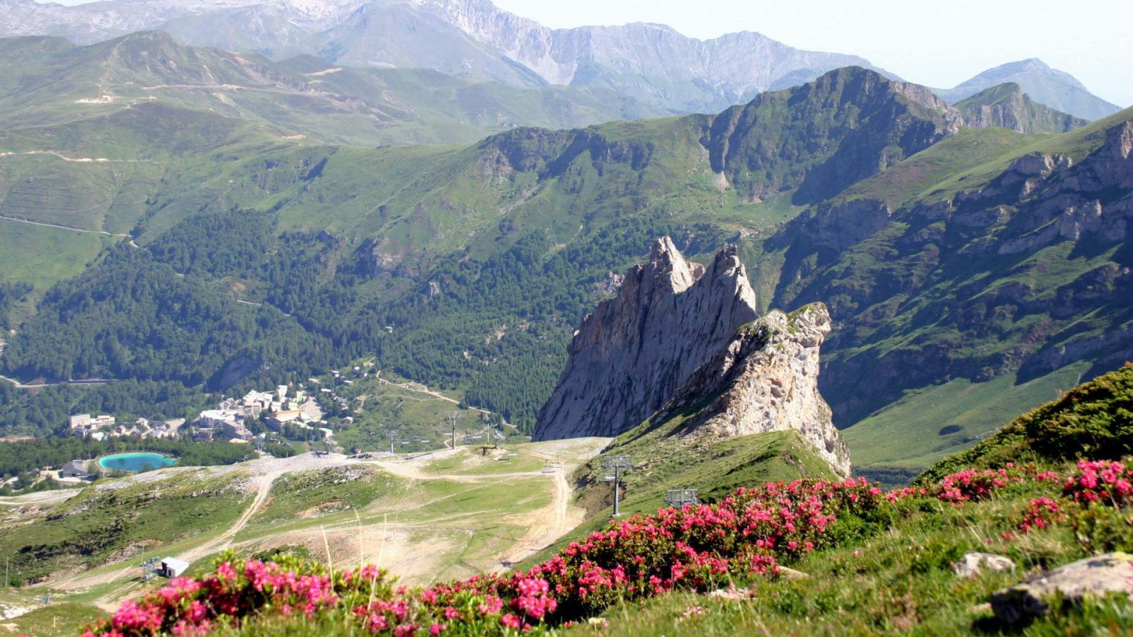 L'arête Sud du Pène Sarrière avec des rhododendrons en premier plan à Gourette en Vallée d'Ossau dans les Pyrénées.