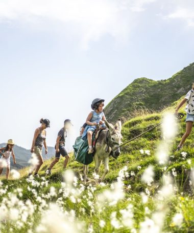 Programme hebdomadaire des animations