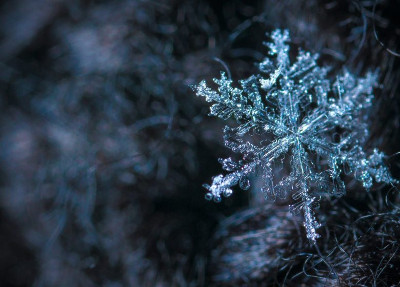 I segreti della neve