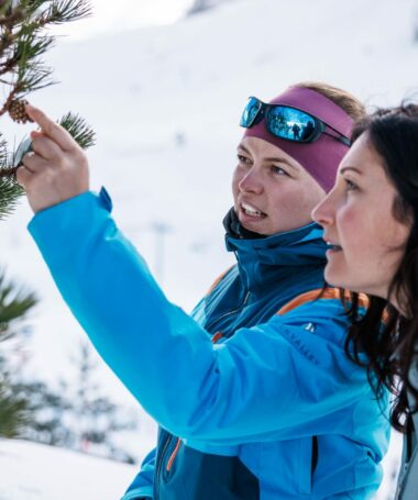 🐻‍❄️ La nature et l’hiver