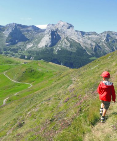 Animations et activités