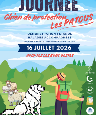 Journée prévention Chiens de troupeaux
