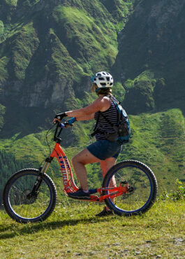 Location Trottinettes Tout Terrain