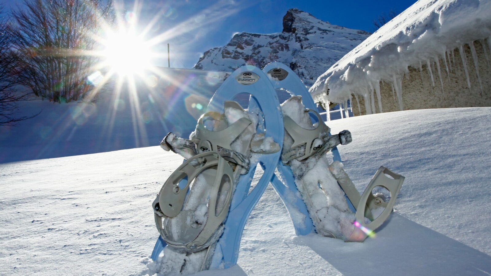 Une paire de raquettes plantée dans la neige avec le pic des Coutchets en arrière plan à Gourette