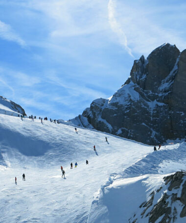 Niveau intermédiaire et expert