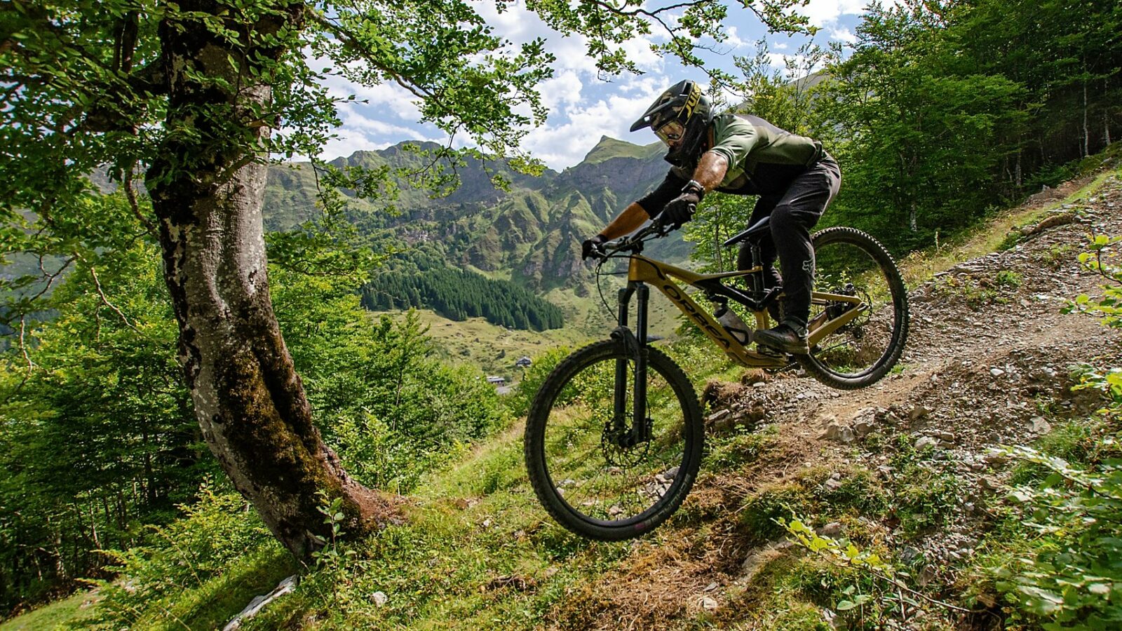Un pilote expérimenté descendant une piste du Bike Park en VTT de montagne à Gourette en Vallée d'Ossau dans les Pyrénées.