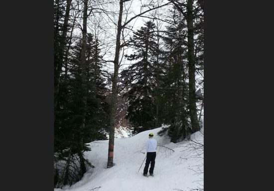 Circuit raquette Le Bois des Crétets
