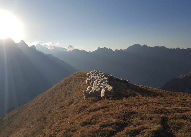 Pierre Vidal – Accompagnateur montagne avec âne porteur