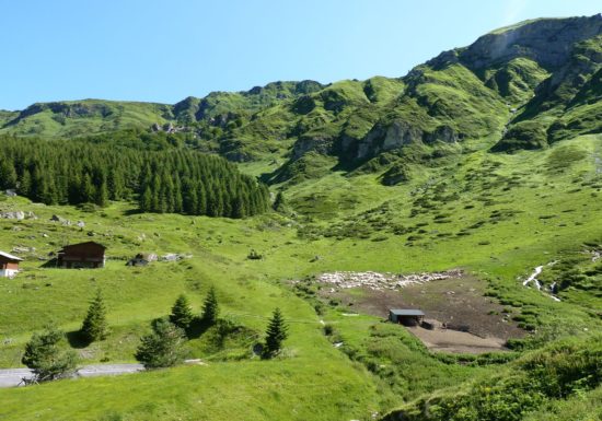 La balade de la bergerie