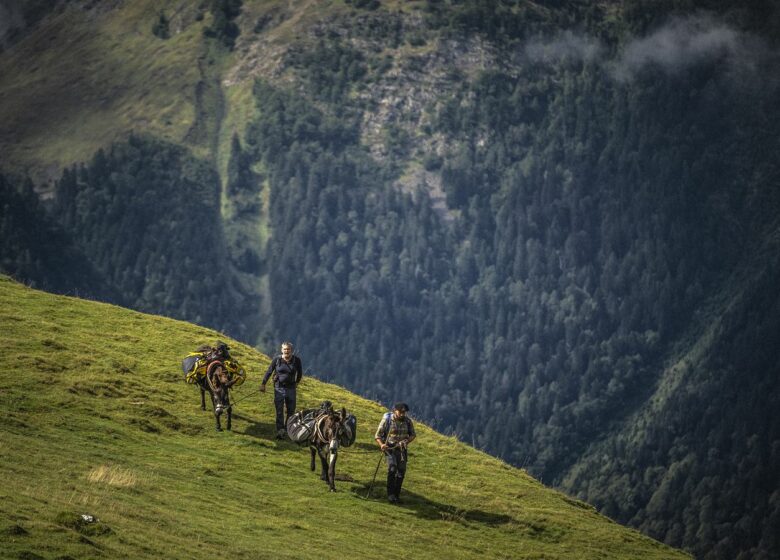 Pierre Vidal – Accompagnateur montagne avec âne porteur