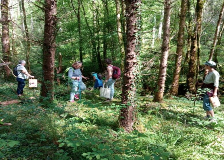 Les cueillettes de Claire