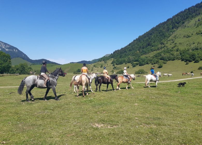 Chevauchée Pyrénéenne – Accompagnateur équestre