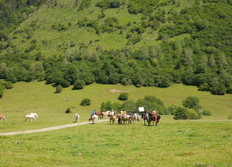 Chevauchée Pyrénéenne – Accompagnateur équestre