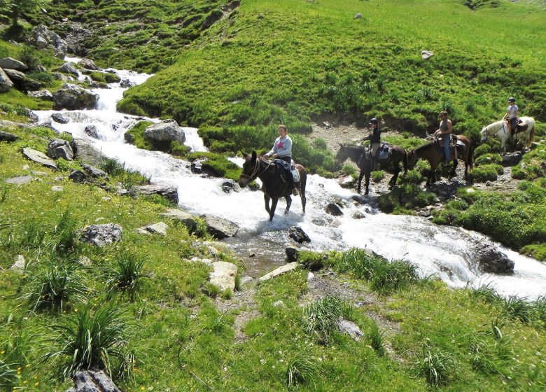 Chevaux du Lac – Paardrijondersteuning