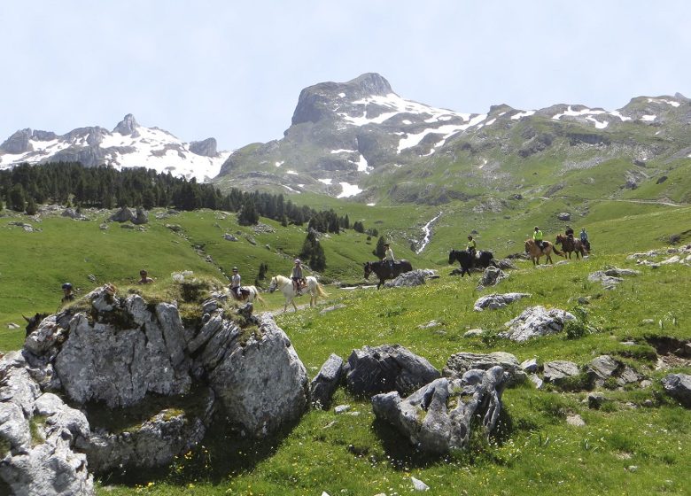 Chevaux du Lac – Paardrijondersteuning