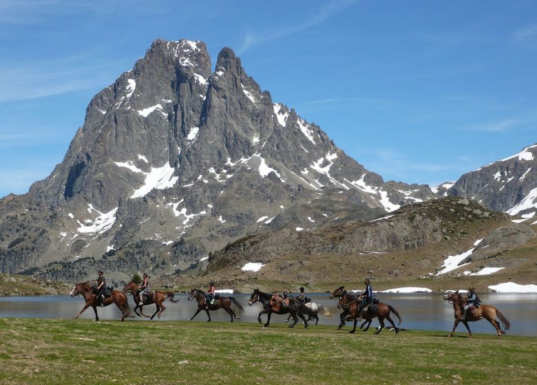 Chevaux du Lac – Paardrijondersteuning