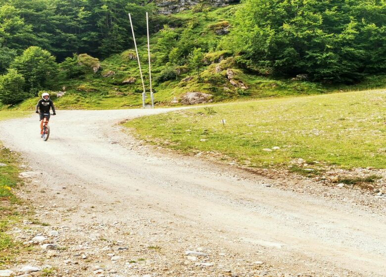 Location de trottinettes & Fat bike