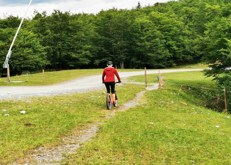 Location de trottinettes & Fat bike