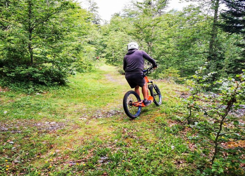 Location de trottinettes & Fat bike