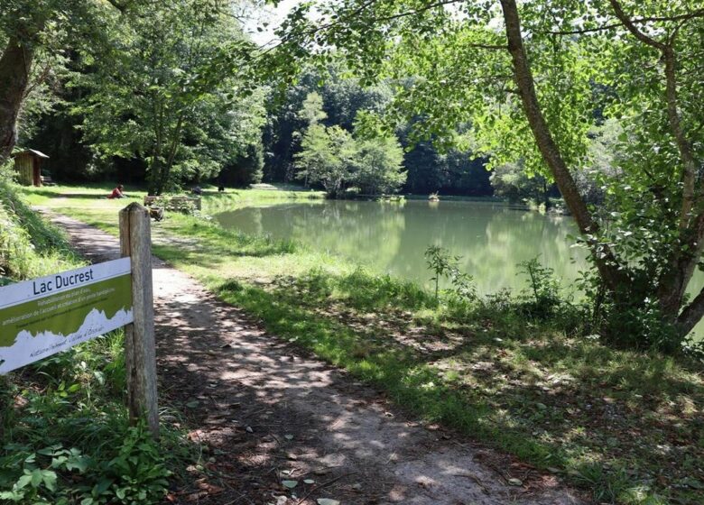 Le lac Ducrest à Arudy