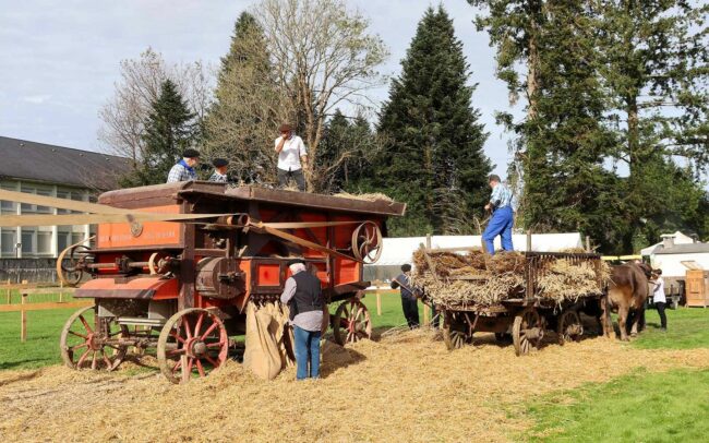Foire d’Automne à Arudy