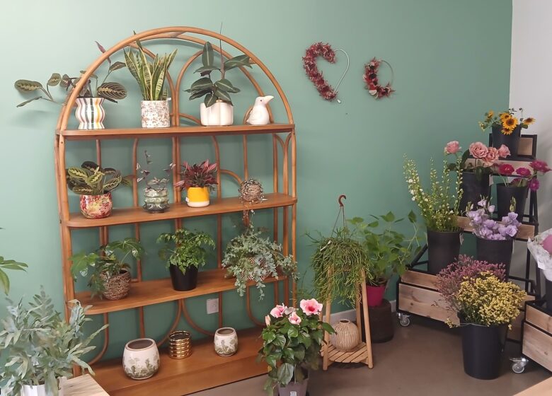 Atelier des papillons – Fleuriste