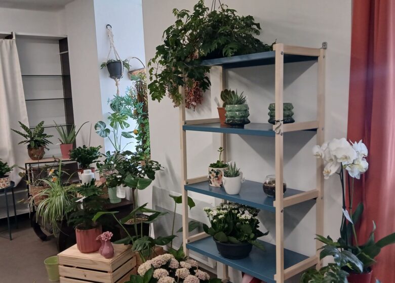 Atelier des papillons – Fleuriste