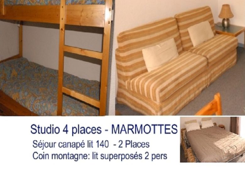 Agentur Barroso Marmottes C1