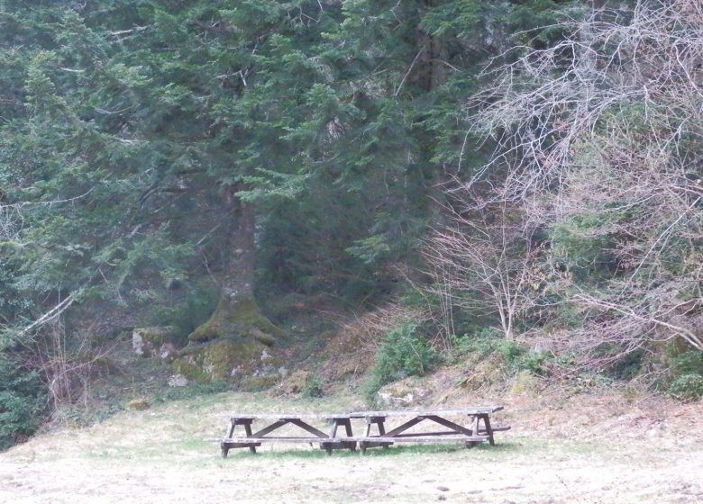 Área de picnic de Ayguebère