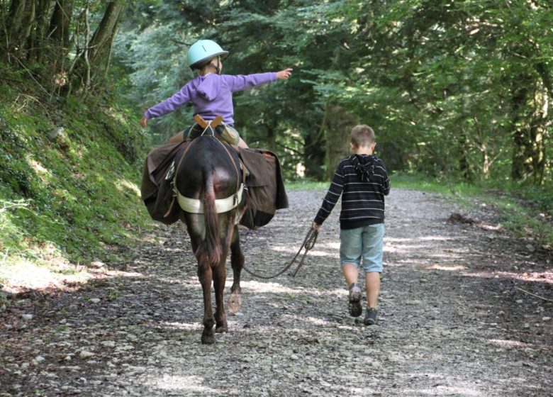 Pequeños Pasos – Paseos en burro