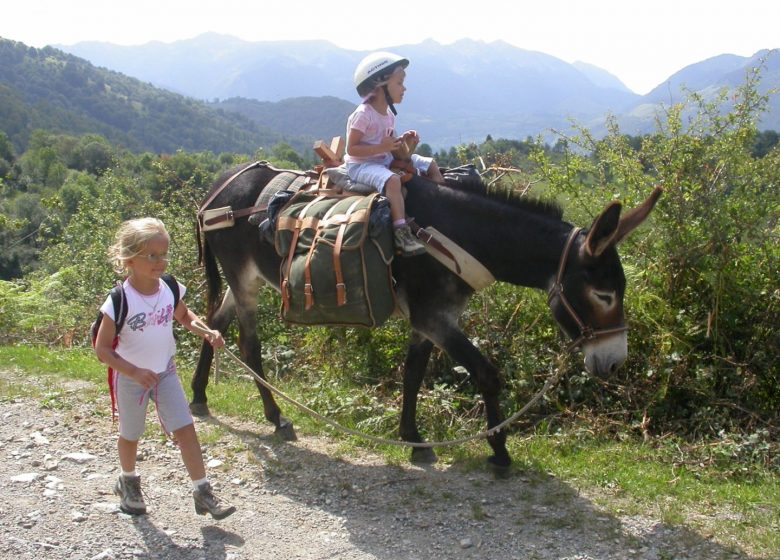 Pequeños Pasos – Paseos en burro