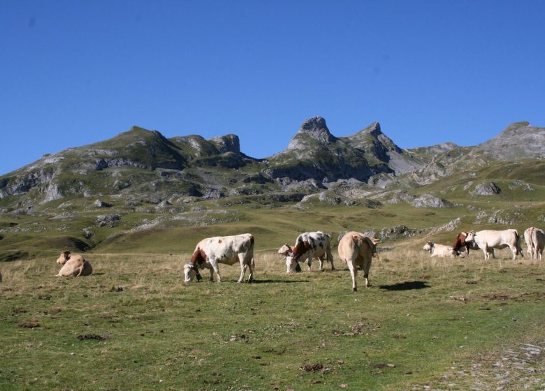 Balade chantée entre France et Espagne