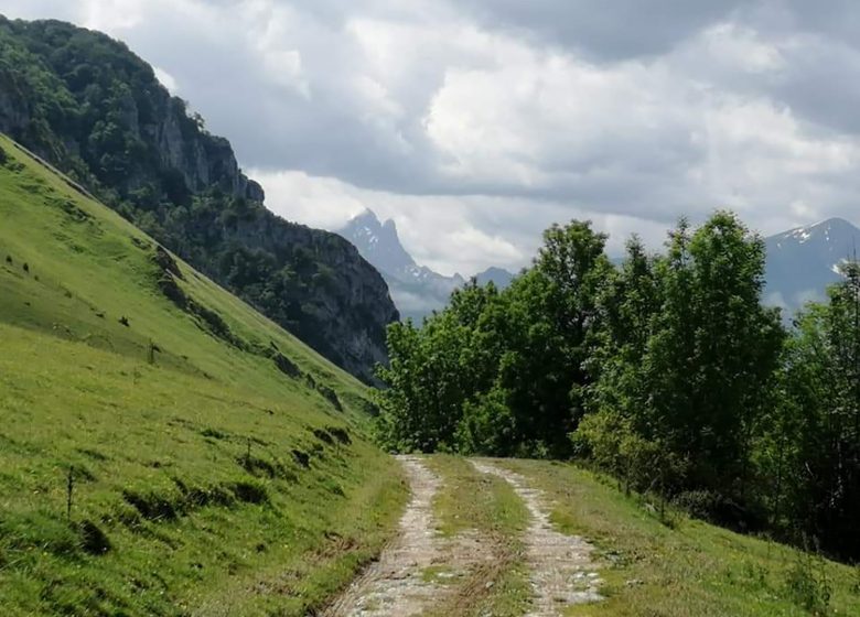 VTTAE ontdekking 1/2 dag Vallée d'Ossau