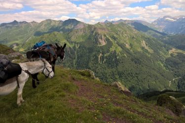 Monsieur David BORDES – Accompagnateur de montagne