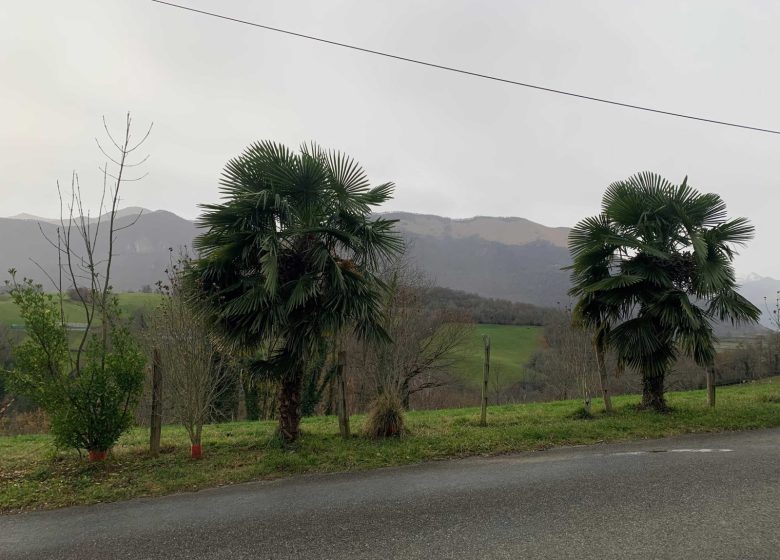 El Balcón del Rey d'Ossau