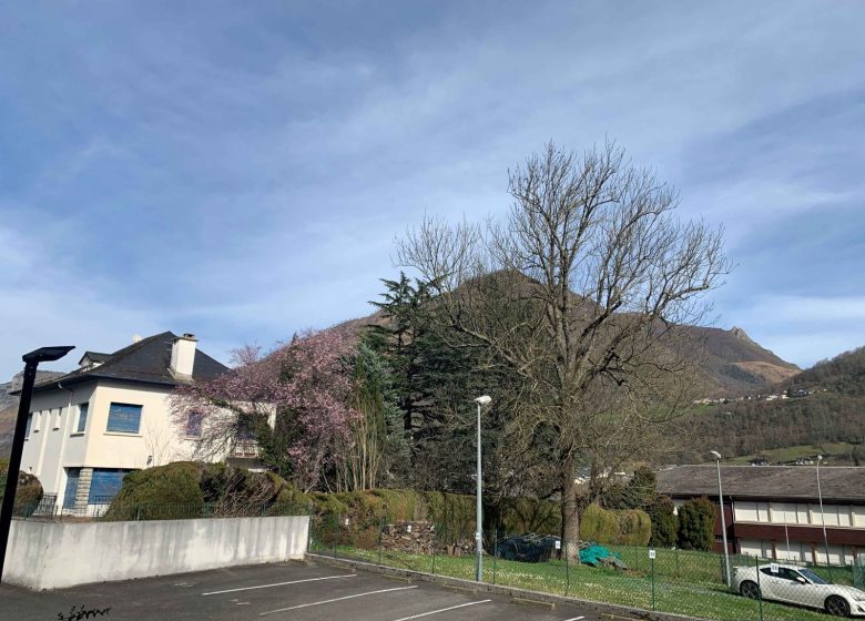 Appartement « Bambino »