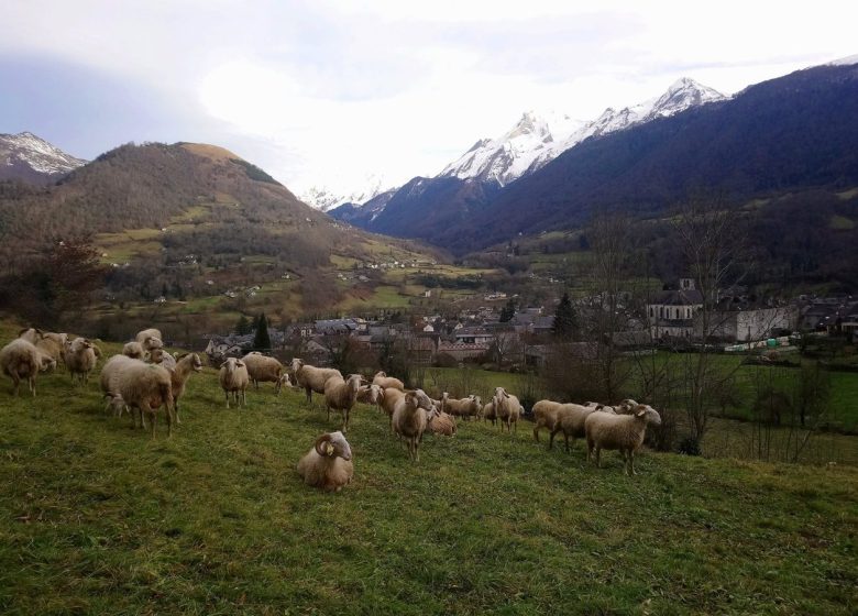 Séjour à la ferme