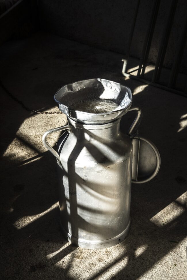 Exposition : Photographies d&rsquo;Adrien Basse