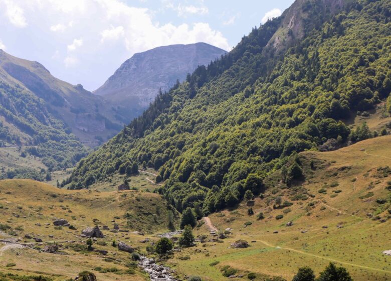 Parc National des Pyrénées