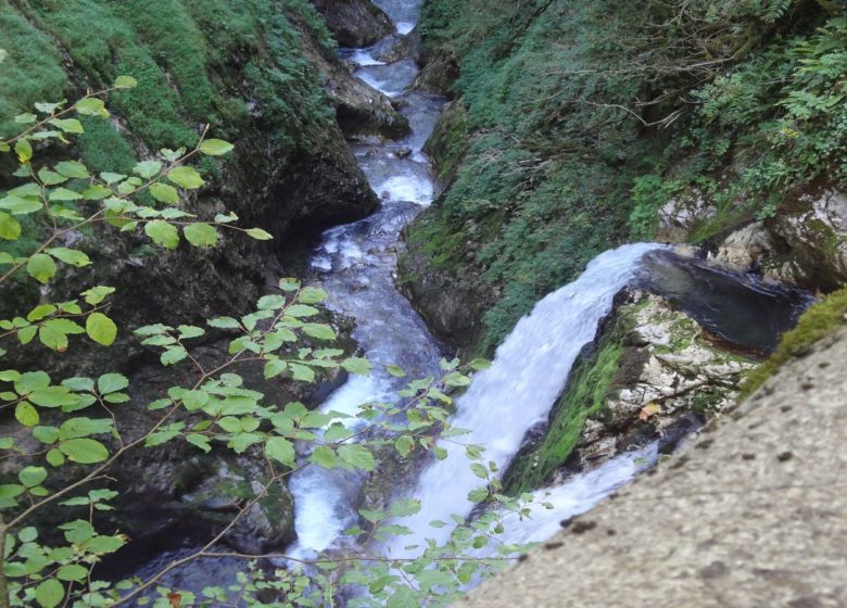 Cascade du Gros Hêtre