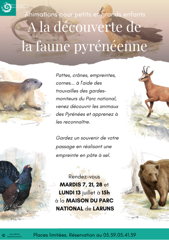 A la découverte de la faune pyrénéenne