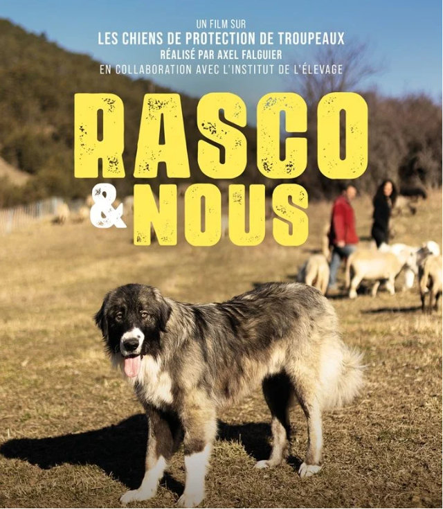 Projection – échanges : Rasco et nous