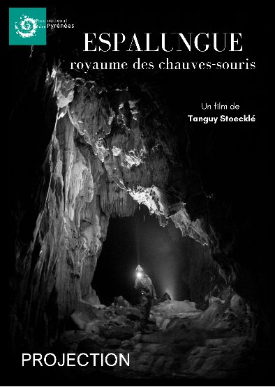 Projection – échanges : Espalungue, le royaume des chauves souris