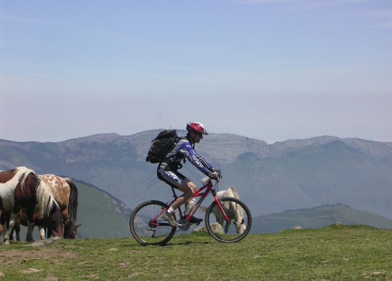 Journée VTT en Ossau