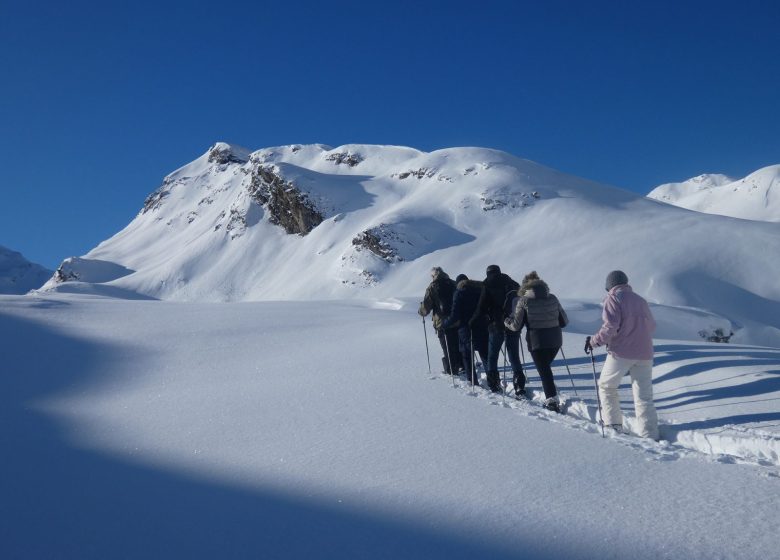 Découverte en raquettes dans le Parc National