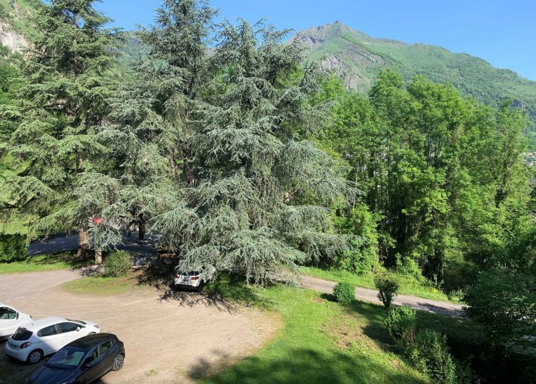 Appartement Le Salazie