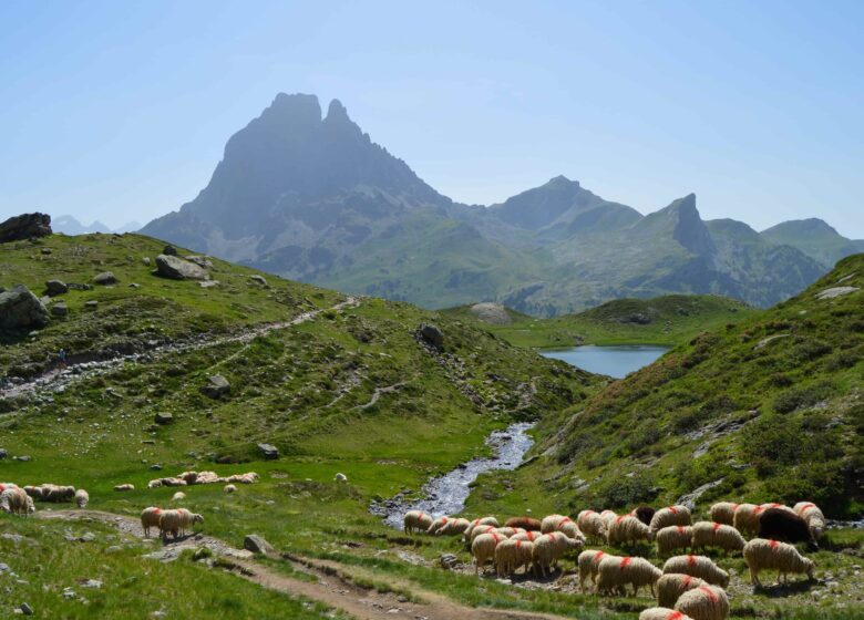 Parc National des Pyrénées